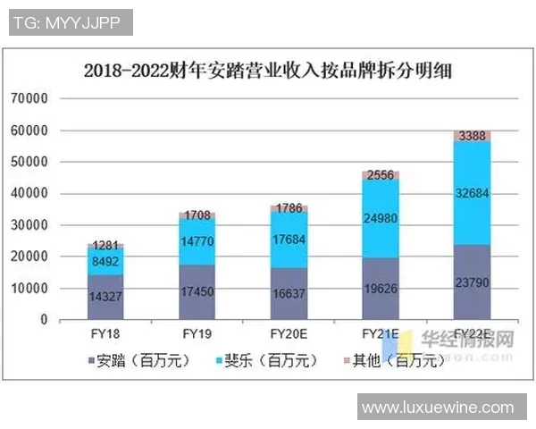 疫情影响下的足球俱乐部生存挑战与应对策略分析 疫情影响下的足球俱乐部生存挑战与应对策略分析