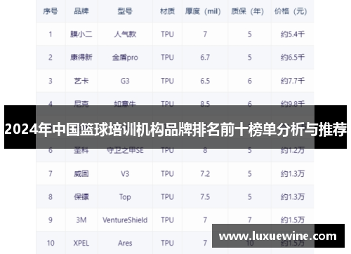 2024年中国篮球培训机构品牌排名前十榜单分析与推荐