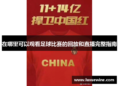 在哪里可以观看足球比赛的回放和直播完整指南