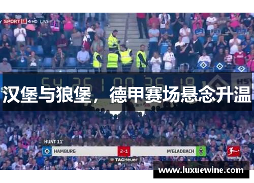汉堡与狼堡，德甲赛场悬念升温
