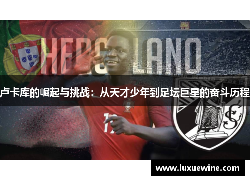 卢卡库的崛起与挑战：从天才少年到足坛巨星的奋斗历程