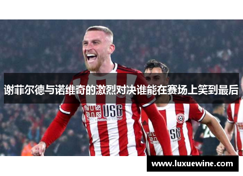谢菲尔德与诺维奇的激烈对决谁能在赛场上笑到最后