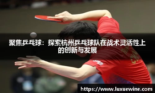 必一运动bsport体育