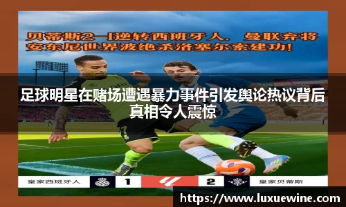 必一·体育(b-sports)