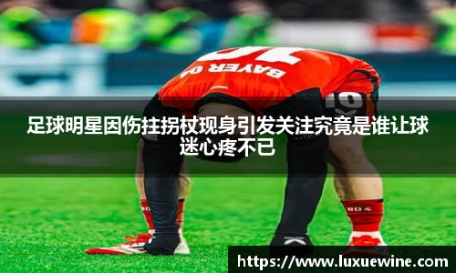 必一运动bsport体育