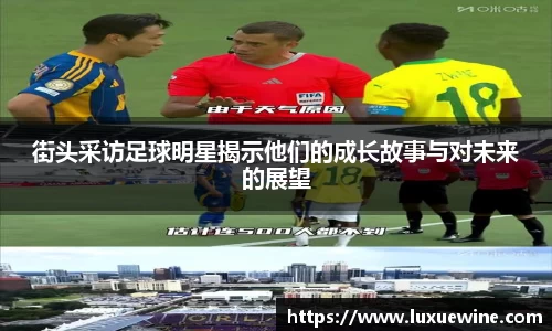 必一·体育(b-sports)